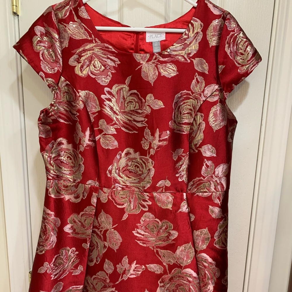 The Children's Place Dress, 18Adult, Red and Gold